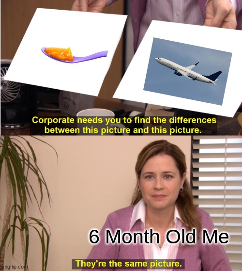 They're The Same Picture | 6 Month Old Me | image tagged in memes,they're the same picture | made w/ Imgflip meme maker