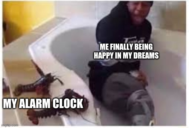 ME FINALLY BEING HAPPY IN MY DREAMS; MY ALARM CLOCK | image tagged in fun | made w/ Imgflip meme maker