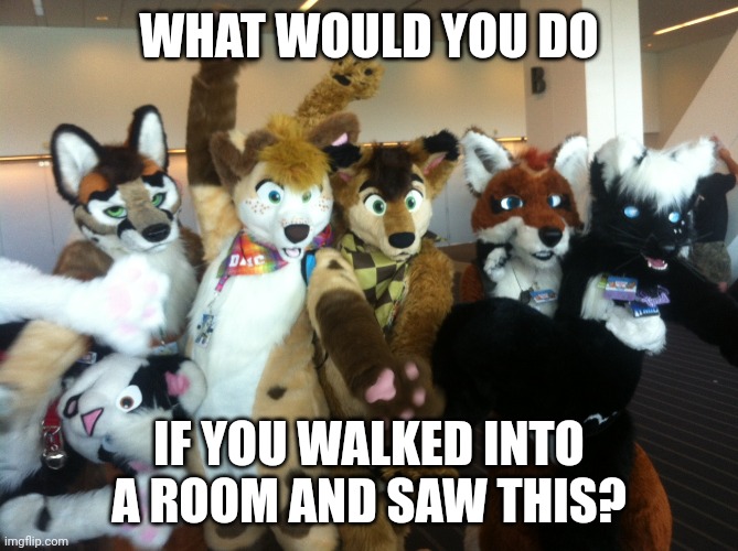 What would you do? | WHAT WOULD YOU DO; IF YOU WALKED INTO A ROOM AND SAW THIS? | image tagged in furries | made w/ Imgflip meme maker