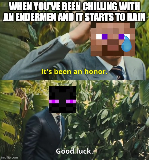 its been an honor | WHEN YOU'VE BEEN CHILLING WITH AN ENDERMEN AND IT STARTS TO RAIN | image tagged in its been an honor,minecraft,enderman | made w/ Imgflip meme maker