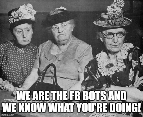 Bingo Ladies | WE ARE THE FB BOTS AND WE KNOW WHAT YOU'RE DOING! | image tagged in old people,facebook | made w/ Imgflip meme maker