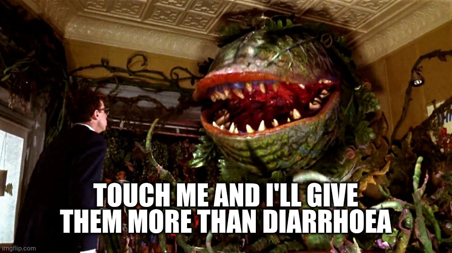little shop of horrors | TOUCH ME AND I'LL GIVE THEM MORE THAN DIARRHOEA | image tagged in little shop of horrors | made w/ Imgflip meme maker