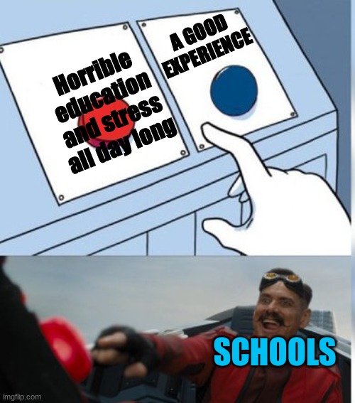 Dont lie. its true | A GOOD EXPERIENCE; Horrible education and stress all day long; SCHOOLS | image tagged in two buttons eggman | made w/ Imgflip meme maker