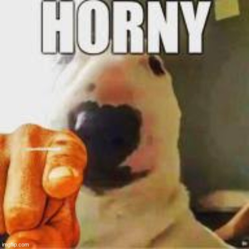 High Quality Horny dog Blank Meme Template