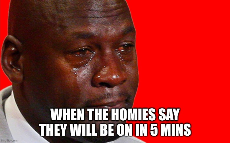 Why tho | WHEN THE HOMIES SAY THEY WILL BE ON IN 5 MINS | image tagged in jordan crying meme | made w/ Imgflip meme maker