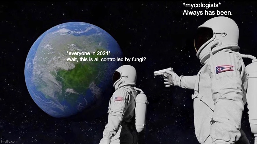 fungi | *mycologists*
Always has been. *everyone in 2021*
Wait, this is all controlled by fungi? | image tagged in memes,always has been | made w/ Imgflip meme maker
