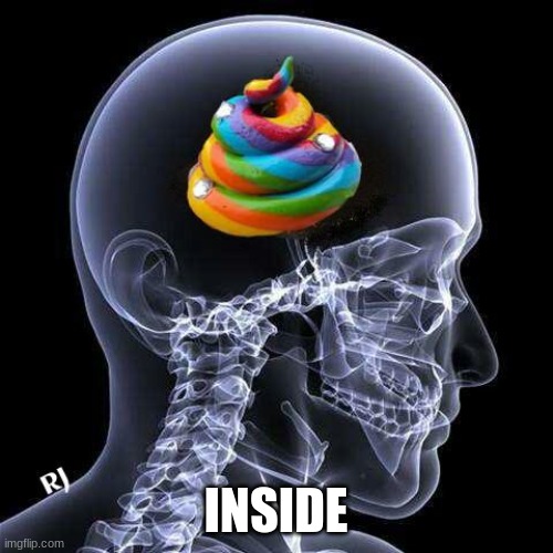 Brain X-Ray | INSIDE | image tagged in brain x-ray | made w/ Imgflip meme maker