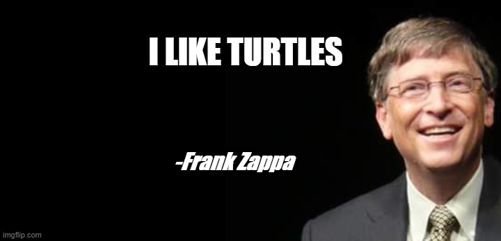 Bill Gates Fake quote |  I LIKE TURTLES; -Frank Zappa | image tagged in bill gates fake quote,frank zappa,turtles | made w/ Imgflip meme maker