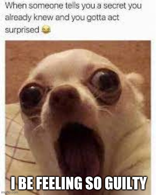 suprised dog | I BE FEELING SO GUILTY | image tagged in suprised,dog,secret | made w/ Imgflip meme maker