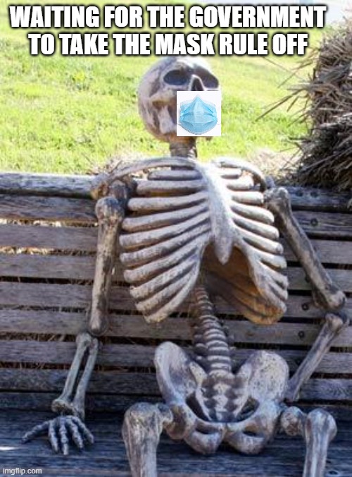 funny | WAITING FOR THE GOVERNMENT TO TAKE THE MASK RULE OFF | image tagged in memes,waiting skeleton | made w/ Imgflip meme maker