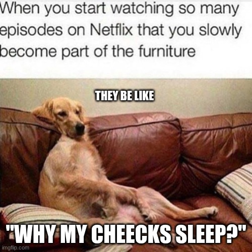 sinking dog | THEY BE LIKE; "WHY MY CHEECKS SLEEP?" | image tagged in dog,comments,repost week | made w/ Imgflip meme maker