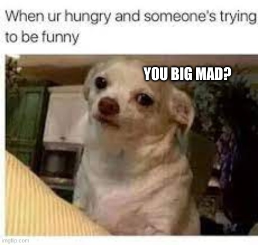 dog | YOU BIG MAD? | image tagged in doge,dogs | made w/ Imgflip meme maker