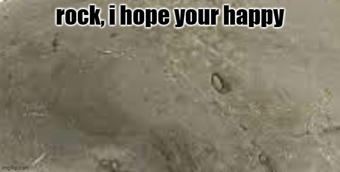 Rock | rock, i hope your happy | image tagged in rock | made w/ Imgflip meme maker