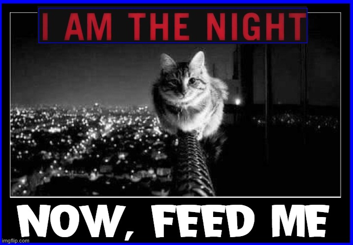 ...and now from Universal Pictures | NOW, FEED ME | image tagged in vince vance,i am the night,cats,feed me,i love cats,funny cat memes | made w/ Imgflip meme maker