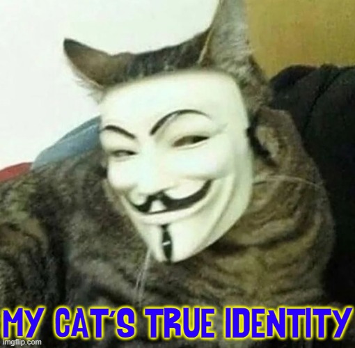 Beware... an anarchist lives right under your nose | MY CAT'S TRUE IDENTITY | image tagged in vince vance,cats,guy fawkes,anarchist,i love cats,meow | made w/ Imgflip meme maker