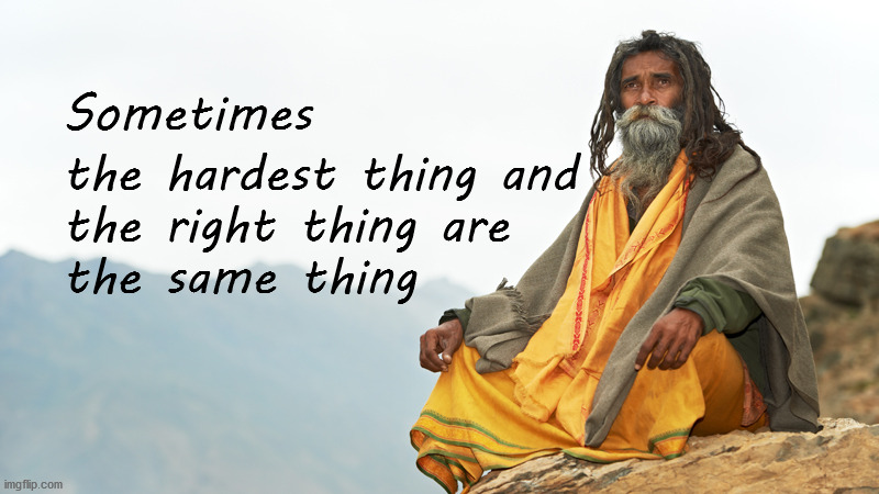 sometimes the hardest thing and the right thing are the same thing |  Sometimes; the hardest thing and 
the right thing are 
the same thing | image tagged in doing the right things | made w/ Imgflip meme maker