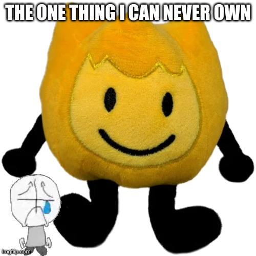 Firey Jr plush | THE ONE THING I CAN NEVER OWN | image tagged in firey jr plush | made w/ Imgflip meme maker