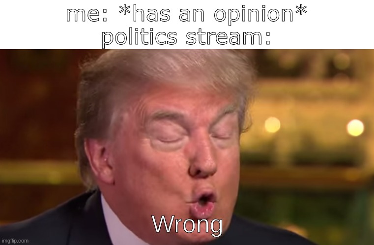 Trump "wrong" meme | me: *has an opinion*
politics stream:; Wrong | image tagged in trump wrong meme,donald trump,memes | made w/ Imgflip meme maker