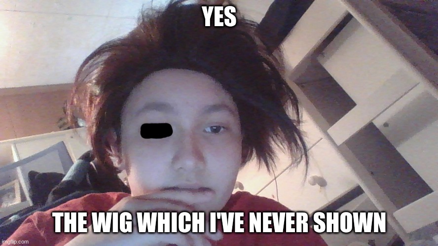YES; THE WIG WHICH I'VE NEVER SHOWN | made w/ Imgflip meme maker