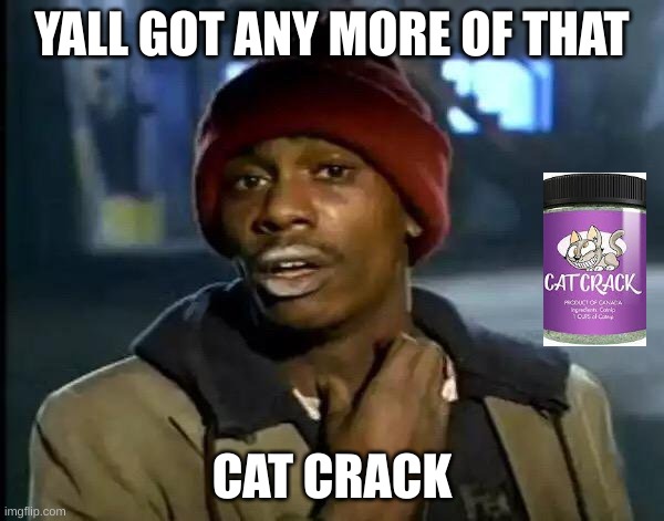 Crack | YALL GOT ANY MORE OF THAT; CAT CRACK | image tagged in memes,y'all got any more of that | made w/ Imgflip meme maker