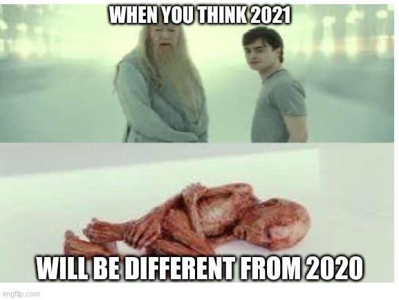 2021 like 2020 | WHEN YOU THINK 2021; WILL BE DIFFERENT FROM 2020 | image tagged in 2020 sucked | made w/ Imgflip meme maker