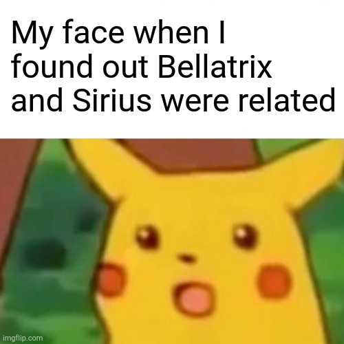 Surprised Pikachu | My face when I found out Bellatrix and Sirius were related | image tagged in memes,surprised pikachu | made w/ Imgflip meme maker