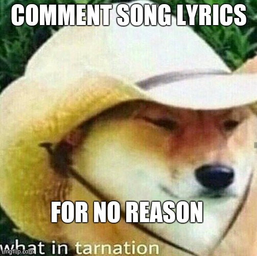 What in tarnation dog | COMMENT SONG LYRICS; FOR NO REASON | image tagged in what in tarnation dog | made w/ Imgflip meme maker