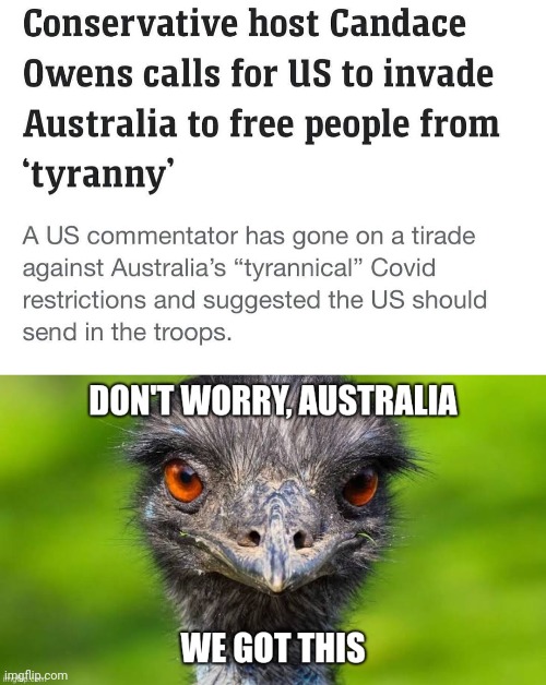 You want to invade? Go ahead. | image tagged in emu,idiot | made w/ Imgflip meme maker