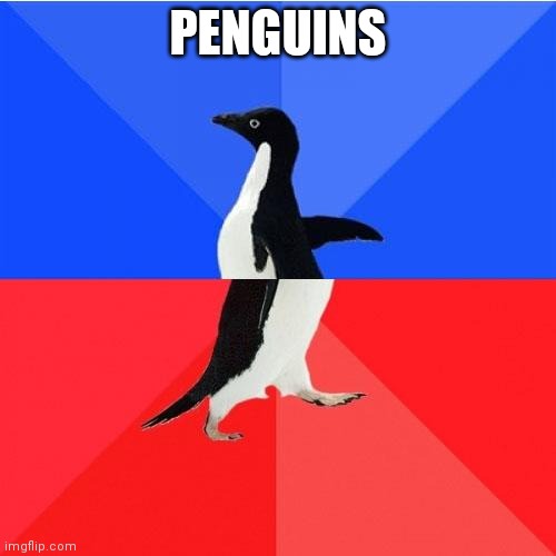 Socially Awkward Awesome Penguin |  PENGUINS | image tagged in memes,socially awkward awesome penguin | made w/ Imgflip meme maker