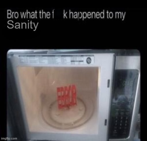 Bro what the frick happened to my blank | Sanity | image tagged in bro what the frick happened to my blank | made w/ Imgflip meme maker