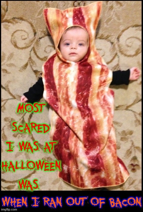 Baconator™ Baby, a bundle of joy | image tagged in vince vance,bacon,baby,memes,halloween costume,i love bacon | made w/ Imgflip meme maker