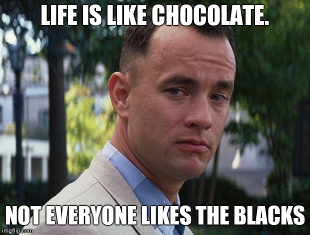 Life is like a box of chocolates | LIFE IS LIKE CHOCOLATE. NOT EVERYONE LIKES THE BLACKS | image tagged in life is like a box of chocolates | made w/ Imgflip meme maker