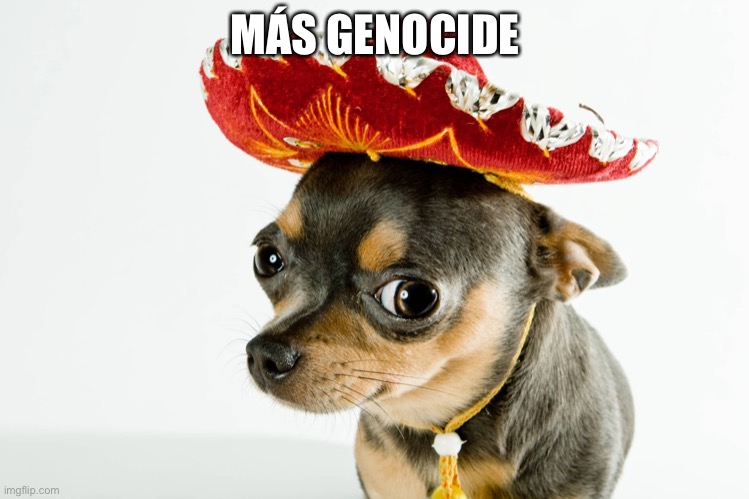 mexican Chihuahua | MÁS GENOCIDE | image tagged in mexican chihuahua | made w/ Imgflip meme maker