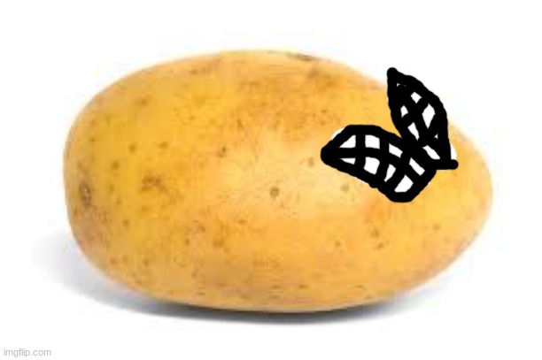 Potato | image tagged in potato | made w/ Imgflip meme maker