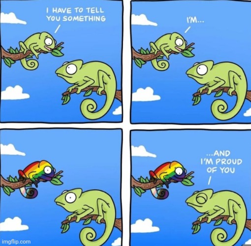 Another One | image tagged in gay pride,comics,chameleon,gay,respect | made w/ Imgflip meme maker