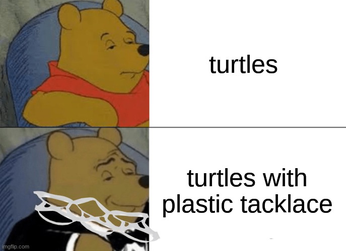 Tuxedo Winnie The Pooh | turtles; turtles with plastic tacklace | image tagged in memes,tuxedo winnie the pooh | made w/ Imgflip meme maker