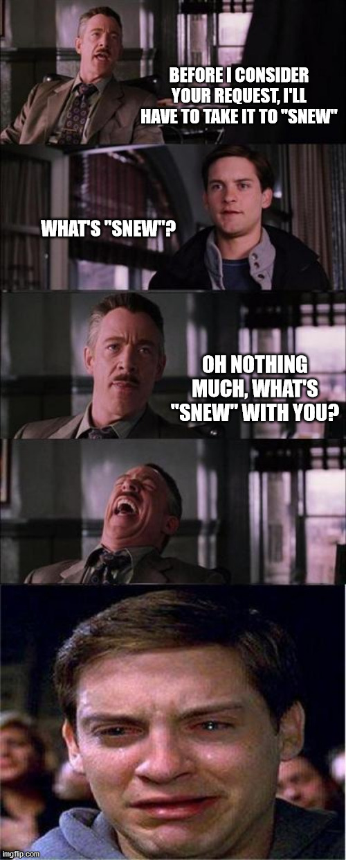 what's "snew"? | BEFORE I CONSIDER YOUR REQUEST, I'LL HAVE TO TAKE IT TO "SNEW"; WHAT'S "SNEW"? OH NOTHING MUCH, WHAT'S "SNEW" WITH YOU? | image tagged in memes,peter parker cry | made w/ Imgflip meme maker