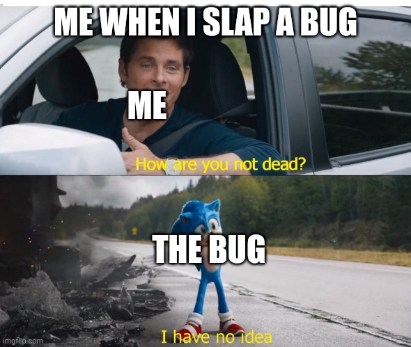 Why???? | ME WHEN I SLAP A BUG; ME; THE BUG | image tagged in sonic how are you not dead,bugs | made w/ Imgflip meme maker