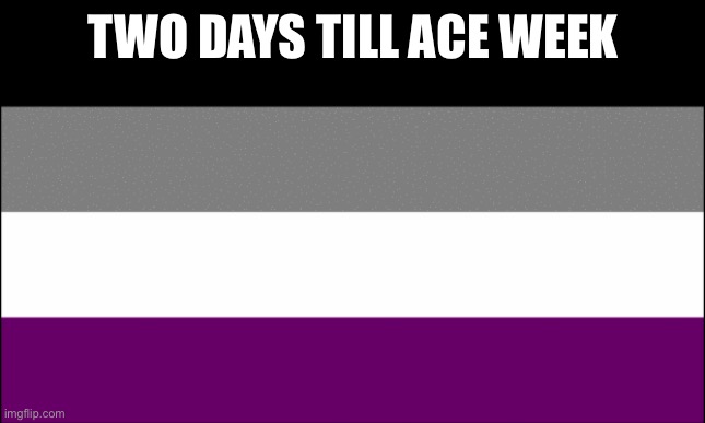 ace flag | TWO DAYS TILL ACE WEEK | image tagged in ace flag | made w/ Imgflip meme maker