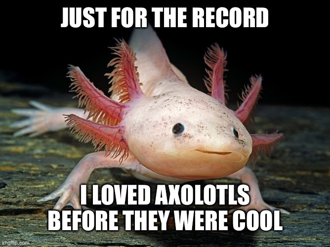 Minecraft adds them and then ALL OF THE SUDDEN people like them | JUST FOR THE RECORD; I LOVED AXOLOTLS BEFORE THEY WERE COOL | image tagged in axolotl,minecraft,before it was cool | made w/ Imgflip meme maker
