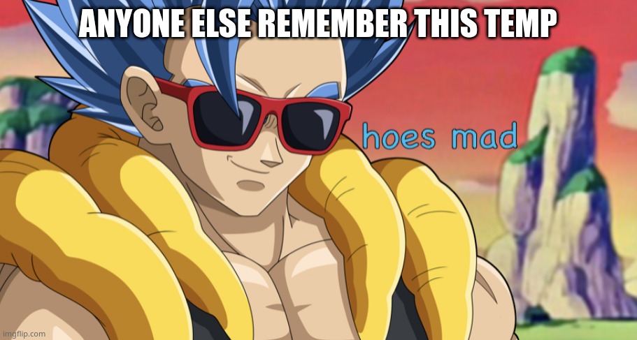 hoes mad gogeta | ANYONE ELSE REMEMBER THIS TEMP | image tagged in hoes mad gogeta | made w/ Imgflip meme maker