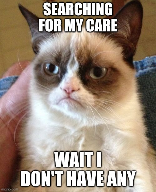 Grumpy Cat | SEARCHING FOR MY CARE; WAIT I DON'T HAVE ANY | image tagged in memes,grumpy cat | made w/ Imgflip meme maker