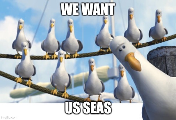 US seas | WE WANT US SEAS | image tagged in finding nemo seagulls | made w/ Imgflip meme maker