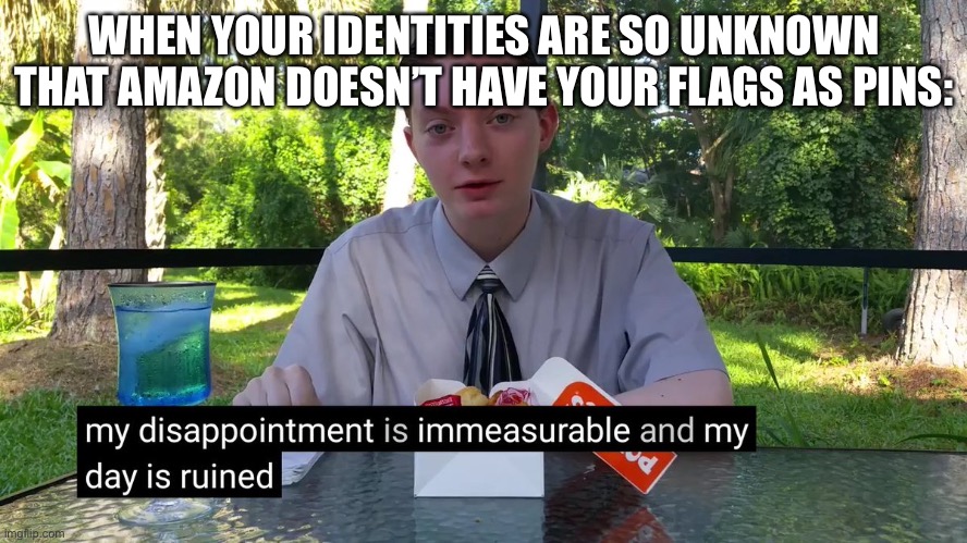 My Disappointment Is Immeasurable | WHEN YOUR IDENTITIES ARE SO UNKNOWN THAT AMAZON DOESN’T HAVE YOUR FLAGS AS PINS: | image tagged in my disappointment is immeasurable | made w/ Imgflip meme maker