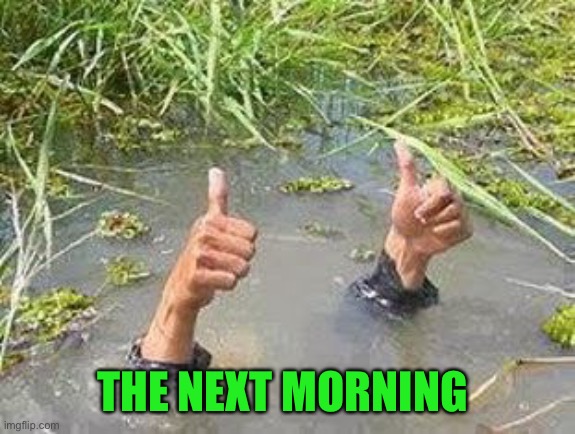 FLOODING THUMBS UP | THE NEXT MORNING | image tagged in flooding thumbs up | made w/ Imgflip meme maker