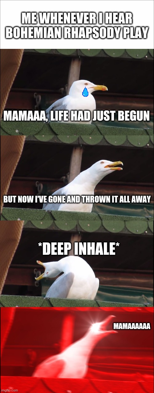 This song is too good | ME WHENEVER I HEAR BOHEMIAN RHAPSODY PLAY; MAMAAA, LIFE HAD JUST BEGUN; BUT NOW I'VE GONE AND THROWN IT ALL AWAY; *DEEP INHALE*; MAMAAAAAA | image tagged in memes,inhaling seagull,bohemian rhapsody,queen,mama | made w/ Imgflip meme maker