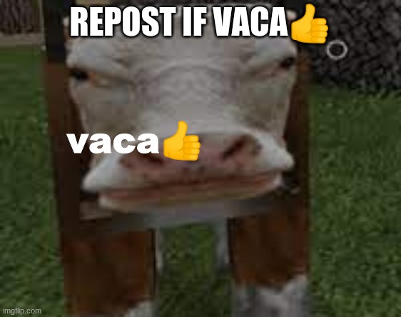 vaca | REPOST IF VACA👍 | made w/ Imgflip meme maker