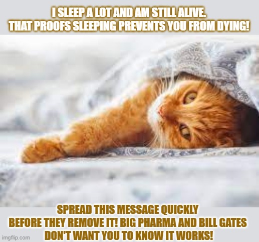They don't want you to know this simple cure really works! |  I SLEEP A LOT AND AM STILL ALIVE. THAT PROOFS SLEEPING PREVENTS YOU FROM DYING! SPREAD THIS MESSAGE QUICKLY 
BEFORE THEY REMOVE IT! BIG PHARMA AND BILL GATES 
DON'T WANT YOU TO KNOW IT WORKS! | image tagged in conspiracy theory,bill gates,anti-vaxx,lolcat | made w/ Imgflip meme maker
