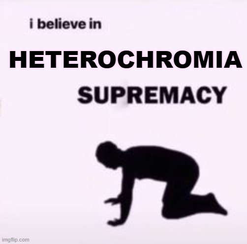 I believe in supremacy | HETEROCHROMIA | image tagged in i believe in supremacy | made w/ Imgflip meme maker