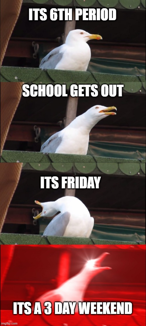 Bet this wont make it to the homepage | ITS 6TH PERIOD; SCHOOL GETS OUT; ITS FRIDAY; ITS A 3 DAY WEEKEND | image tagged in memes,inhaling seagull,school | made w/ Imgflip meme maker